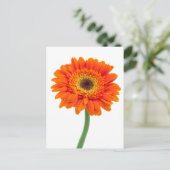 Carte Postale Fleur de Marguerite Gerbera Orange (Debout devant)