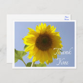 Carte Postale Fleur de Merci de tournesol jaune Floral (Devant / Derrière)