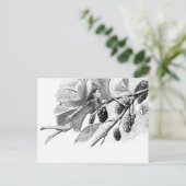Carte Postale Fleur de mûrier rouge (Debout devant)