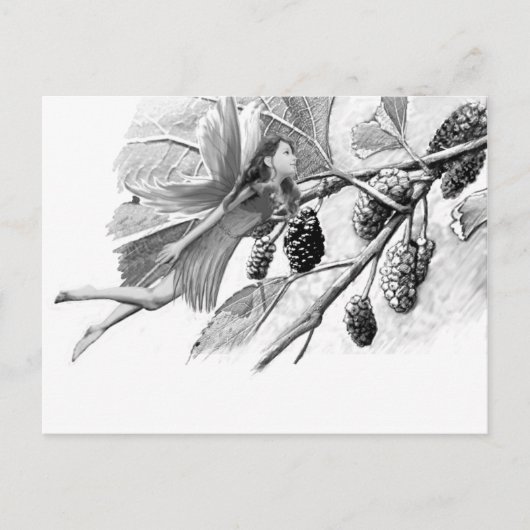 Carte Postale Fleur de mûrier rouge (Devant)
