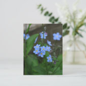Carte Postale Fleur de myosotis (Debout devant)