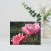 Carte Postale Fleur de naissance - JUIN - Rose (Debout devant)