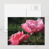 Carte Postale Fleur de naissance - JUIN - Rose (Devant / Derrière)