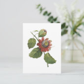 Carte Postale fleur de passion (alata de passiflore) par Redouté (Debout devant)