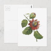 Carte Postale fleur de passion (alata de passiflore) par Redouté (Devant / Derrière)