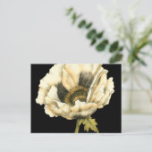 Carte Postale Fleur de pavot à crème sur Arrière - plan noir (Debout devant)