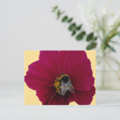 Carte Postale Fleur de pavot rose rouge avec une abeille bourdon (Debout devant)
