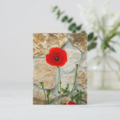 Carte Postale Fleur de pavot simple et mur de pierre derrière (Debout devant)
