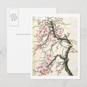 Carte Postale Fleur de pêche (couleur sur papier) (Devant / Derrière)