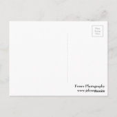 Carte Postale Fleur de Pétrole (Dos)