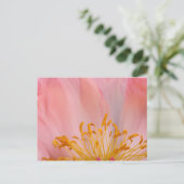 Carte Postale Fleur de pivoine (Debout devant)