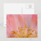 Carte Postale Fleur de pivoine (Devant / Derrière)