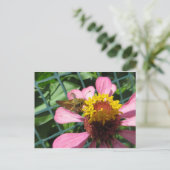 Carte Postale Fleur de pollinisation de la mite (Debout devant)