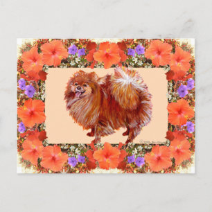 Carte Postale Fleur de Poméranie