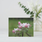 Carte Postale fleur de pomme et feuilles verts (Debout devant)