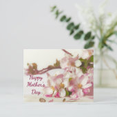 Carte Postale Fleur de Pommier (Debout devant)