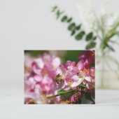 Carte postale Fleur de pommier et abeille à miel (Debout devant)