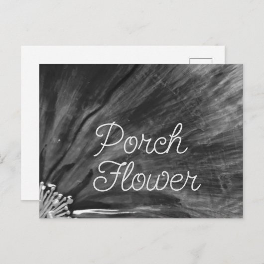 Carte Postale Fleur de porche / Noir et blanc / (Devant / Derrière)