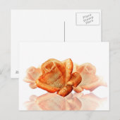 Carte Postale Fleur de Rose corail avec Partition (Devant / Derrière)