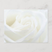 Carte Postale Fleur de rose florale pour partager un souvenir Fu (Dos)