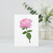 Carte Postale Fleur de rose rose élégante  (Debout devant)