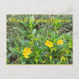 Carte Postale Fleur de singes mars
