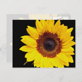 Carte Postale Fleur de soleil jaune (Devant / Derrière)