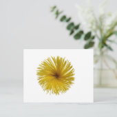 Carte Postale Fleur de spaghetti (Debout devant)