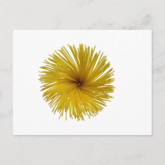 Carte Postale Fleur de spaghetti (Devant)