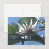 Carte postale Fleur de Strelitzia blanche pour un  (Devant / Derrière)