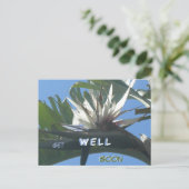 Carte postale Fleur de Strelitzia blanche Prompt r (Debout devant)