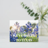 Carte Postale Fleur de Texas Bluebonnets Fleur sauvage Bleu Flor (Debout devant)