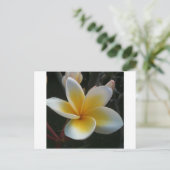 Carte Postale fleur de thaïlande (Debout devant)