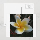 Carte Postale fleur de thaïlande (Devant / Derrière)