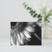 Carte Postale fleur de tournesol bw 2 (Debout devant)