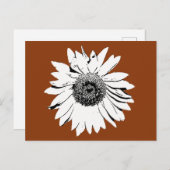 Carte postale - Fleur de tournesol en couleur (Devant / Derrière)