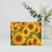 Carte Postale Fleur de tournesol Floral Jaune - Merci, Amour (Debout devant)
