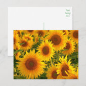 Carte Postale Fleur de tournesol Floral Jaune - Merci, Amour (Devant / Derrière)