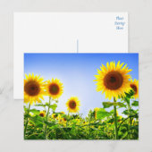Carte Postale Fleur de tournesol Florale Jaune Bleu (Devant / Derrière)