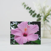 Carte Postale Fleur de trompette exotique (Debout devant)