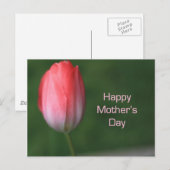 Carte Postale fleur de tulipe rouge, jour de mère heureuse (Devant / Derrière)