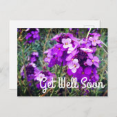 Carte postale Fleur de Wallflower Bowles Mauve #1 (Devant / Derrière)