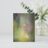 Carte Postale Fleur d'échecs Photo de la nature (Debout devant)