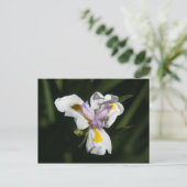 Carte Postale fleur délicate (Debout devant)