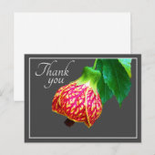 Carte Postale Fleur d'Érable Fleur Fond Gris Merci (Devant / Derrière)