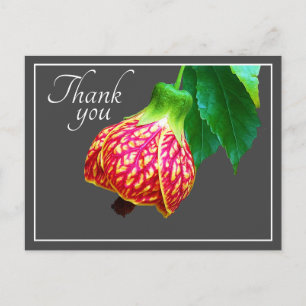 Carte Postale Fleur d'Érable Fleur Fond Gris Merci