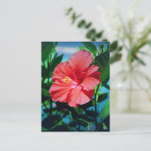 Carte Postale Fleur des Caraïbes (Debout devant)