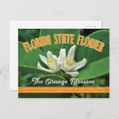 Carte Postale Fleur d'Etat de Floride la Fleur Orange (Devant / Derrière)