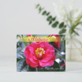 Carte Postale Fleur d'État de l'Alabama - Camellia (Debout devant)