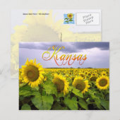 Carte Postale Fleur d'État du Kansas - Tournesol (Devant / Derrière)